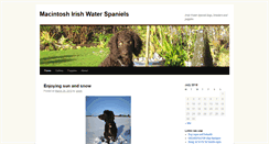 Desktop Screenshot of macirishwaterspaniels.co.uk